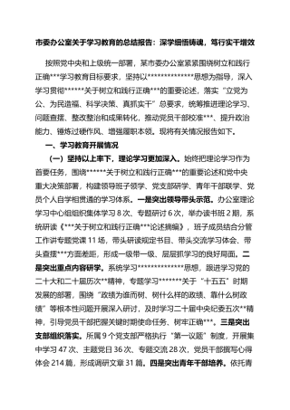 市委办公室关于学习教育的总结报告：深学细悟铸魂，笃行实干增效