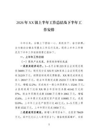 2026年XX镇上半年工作总结及下半年工作安排