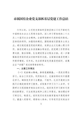市属国有企业党支部抓基层党建工作总结