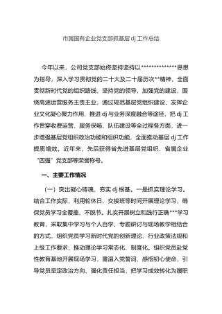 市属国有企业党支部抓基层党建工作总结