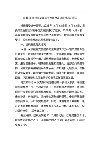 县学校党支部关于巡察整改进展情况的报告