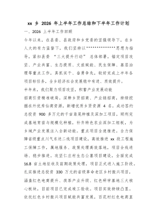 乡2026年上半年工作总结和下半年工作计划