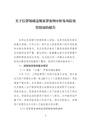 关于信贷领域违规放贷案例分析及风险处置情况的报告