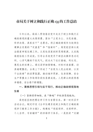 市局关于树立和践行正确zjg的工作总结