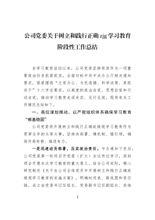 公司党委关于树立和践行正确zjg学习教育阶段性工作总结