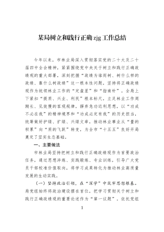 某局树立和践行正确zjg工作总结