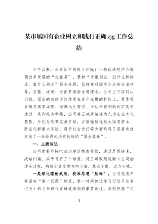 某市属国有企业树立和践行正确zjg工作总结