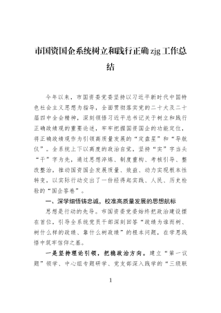 市国资国企系统树立和践行正确zjg工作总结