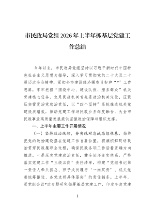 市民政局党组2026年上半年抓基层党建工作总结