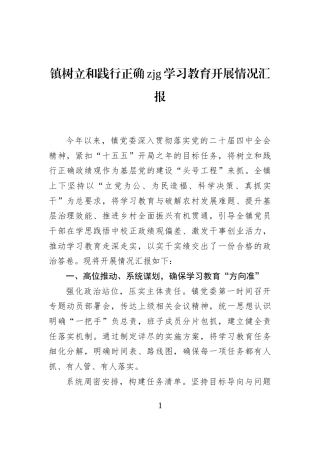 镇树立和践行正确zjg学习教育开展情况汇报