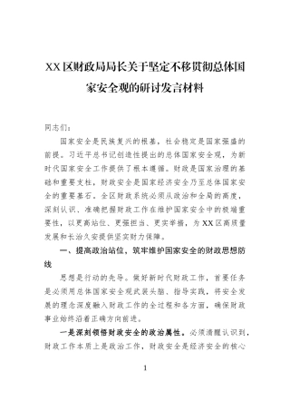 XX区财政局局长关于坚定不移贯彻总体国家安全观的研讨发言材料