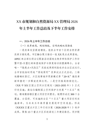 XX市规划和自然资源局XX管理局2026年上半年工作总结及下半年工作安排