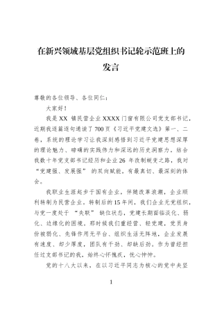 在新兴领域基层党组织书记轮示范班上的发言