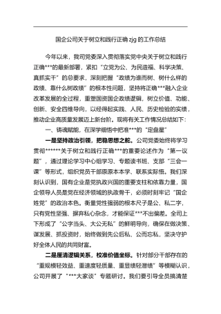 国企公司关于树立和践行正确政绩观的工作总结