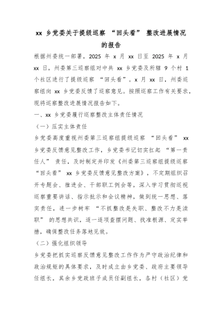 乡党委关于提级巡察“回头看”整改进展情况的报告