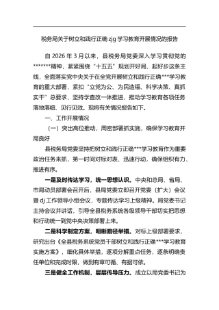 税务局关于树立和践行正确政绩观学习教育开展情况的报告
