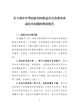 关于铸牢中华民族共同体意识宣传教育活动存在问题的整改报告