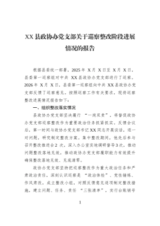 XX县政协办党支部关于巡察整改阶段进展情况的报告