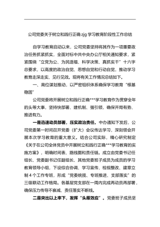 公司党委关于树立和践行正确政绩观学习教育阶段性工作总结