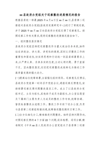 县政府办党组关于巡察整改进展情况的报告
