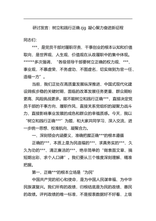 研讨发言：树立和践行正确政绩观凝心聚力奋进新征程