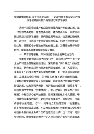 学思践悟固根基实干担当护安澜——党政领导干部安全生产和应急管理能力提升专题研讨班学习感悟