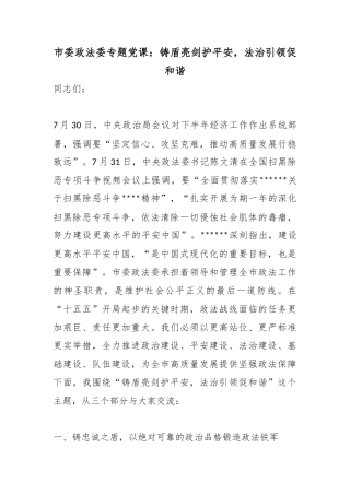 市委政法委专题党课：铸盾亮剑护平安，法治引领促和谐