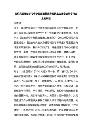 在校党委理论学习中心组巡视整改专题民主生活会会前学习会上的讲话