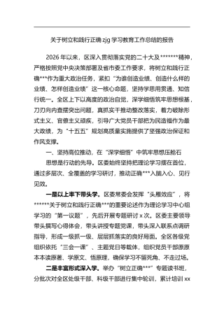 关于树立和践行正确政绩观学习教育工作总结的报告