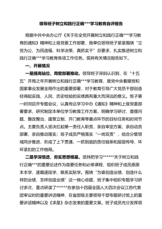 领导班子树立和践行正确政绩观学习教育自评报告