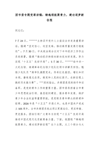 团市委专题党课讲稿：铸魂领航聚青力，建功逐梦新征程_1