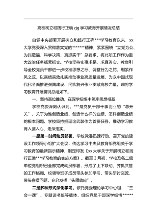 高校树立和践行正确政绩观学习教育开展情况总结_1