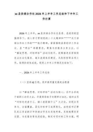 县供销合作社2026年上半年工作总结和下半年工作打算_1