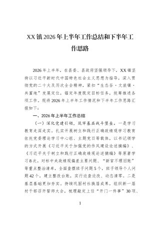 XX镇2026年上半年工作总结和下半年工作思路