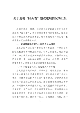 关于巡视“回头看”整改进展情况的汇报