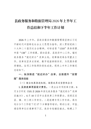 县政务服务和数据管理局2026年上半年工作总结和下半年工作计划