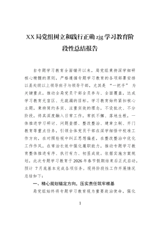 XX局党组树立和践行正确zjg学习教育阶段性总结报告