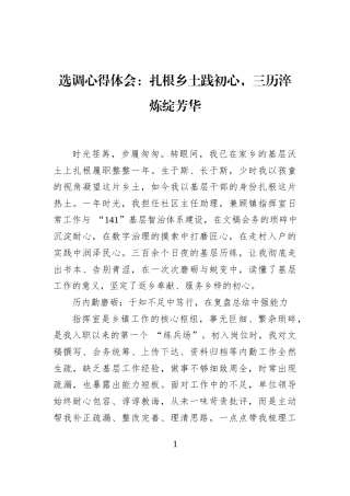选调心得体会：扎根乡土践初心，三历淬炼绽芳华