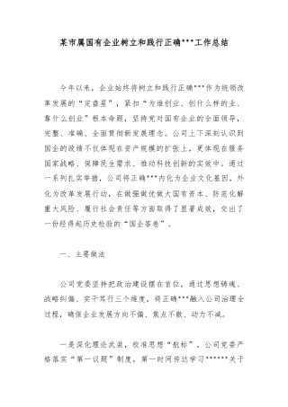 某市属国有企业树立和践行正确政绩观工作总结_1