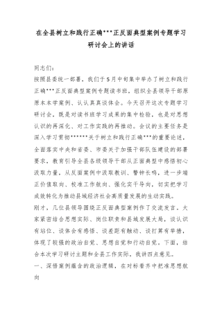 在全县树立和践行正确政绩观正反面典型案例专题学习研讨会上的讲话