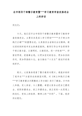在市领导干部警示教育暨政绩观学习教育学查改推进会上的讲话
