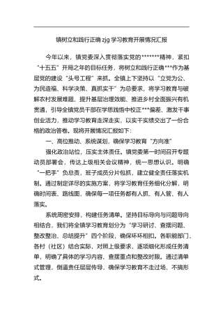 镇树立和践行正确政绩观学习教育开展情况汇报