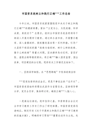 市国资系统树立和践行正确政绩观工作总结