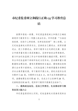 市纪委监委树立和践行正确zjg学习教育总结