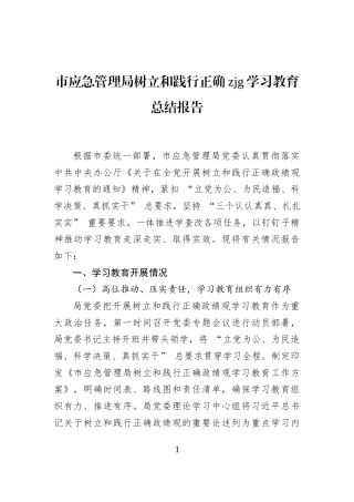 市应急管理局树立和践行正确zjg学习教育总结报告
