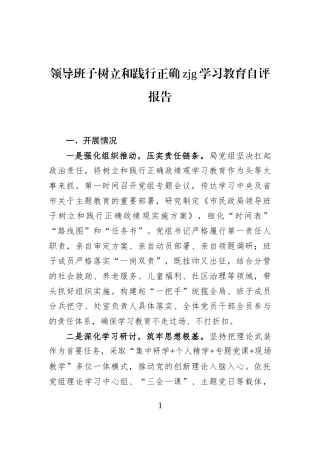 领导班子树立和践行正确zjg学习教育自评报告