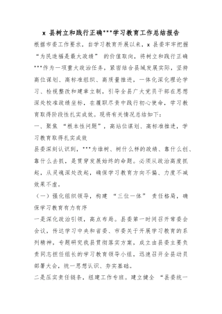 X县树立和践行正确政绩观学习教育工作总结报告