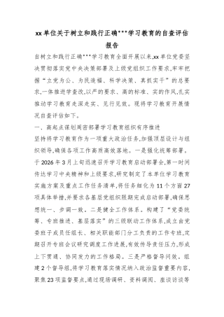 单位关于树立和践行正确政绩观学习教育的自查评估报告