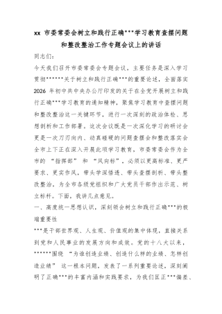 市委常委会树立和践行正确政绩观学习教育查摆问题和整改整治工作专题会议上的讲话