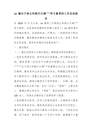 镇关于树立和践行正确政绩观学习教育的工作总结报告